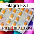 Filagra FXT cialis4